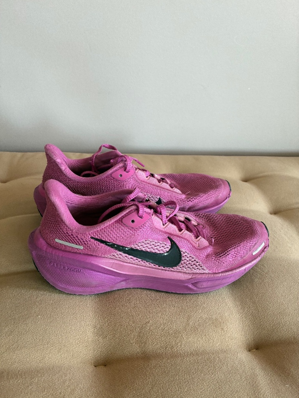 Nike Pegasus 42
